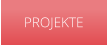 PROJEKTE